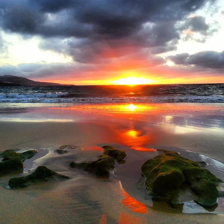 דירות לאס פאלמס דה גראן קנאריה Seaview Canteras